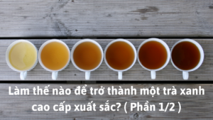 Làm thế nào để trở thành một trà xanh cao cấp xuất sắc? ( Phần 1/2 )-Weibo24h.com