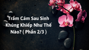 Trầm Cảm Sau Sinh Khủng Khiếp Như Thế Nào? ( Phần 2/3 )-Weibo24h.com