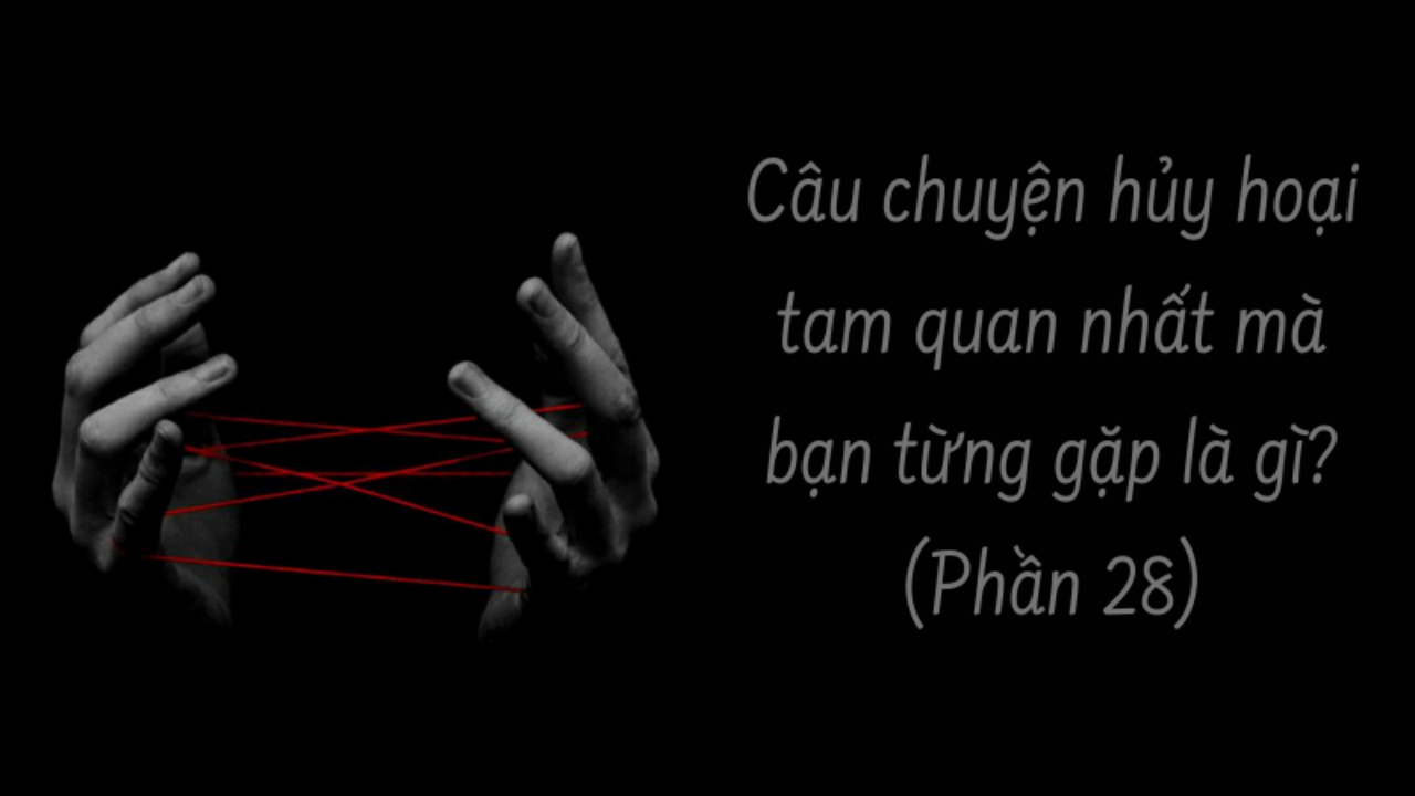 CÂU CHUYỆN PHÁ HỦY TAM QUAN NHẤT MÀ BẠN TỪNG GẶP LÀ GÌ? ( Phần 28/34 )-Weibo24h.com