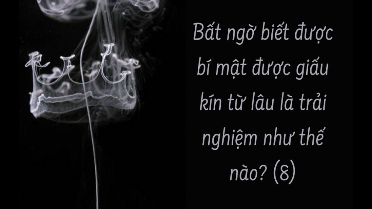 Bất ngờ biết được bí mật được giấu kín từ lâu là trải nghiệm như thế nào? ( Phần 8/10)-Weibo24h.com