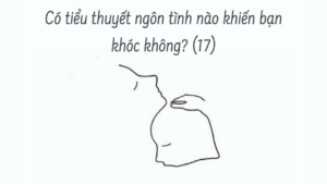 Có tiểu thuyết ngôn tình nào khiến bạn khóc không? ( Phần 17/17)-Weibo24h.com