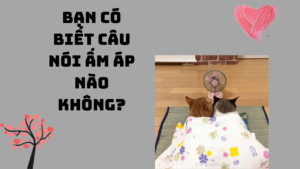 BẠN BIẾT CÂU NÓI ẤM ÁP NÀO KHÔNG?-Weibo24h.com