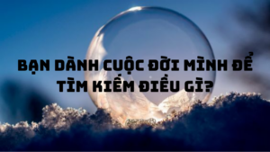 Chúng ta đã dành cả cuộc đời của mình, chúng ta đang tìm kiếm điều gì?-Weibo24h.com