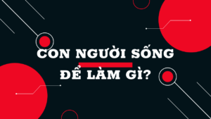 Con người sống để làm gì?-Weibo24h.com