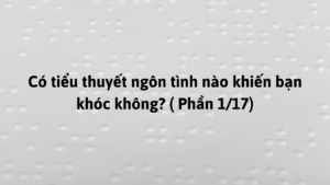 Có tiểu thuyết ngôn tình nào khiến bạn khóc không? ( Phần 1/17)-Weibo24h.com