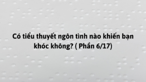 Có tiểu thuyết ngôn tình nào khiến bạn khóc không? ( Phần 6/17)-Weibo24h.com