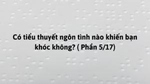 Có tiểu thuyết ngôn tình nào khiến bạn khóc không? ( Phần 5/17)-Weibo24h.com