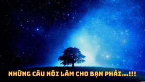 Nhưng câu nói làm cho bạn phải xoắn não!-Weibo24h.com