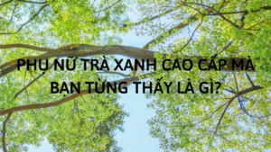 Người phụ nữ trà xanh cao cấp nhất mà bạn từng thấy là gì?-Weibo24h.com