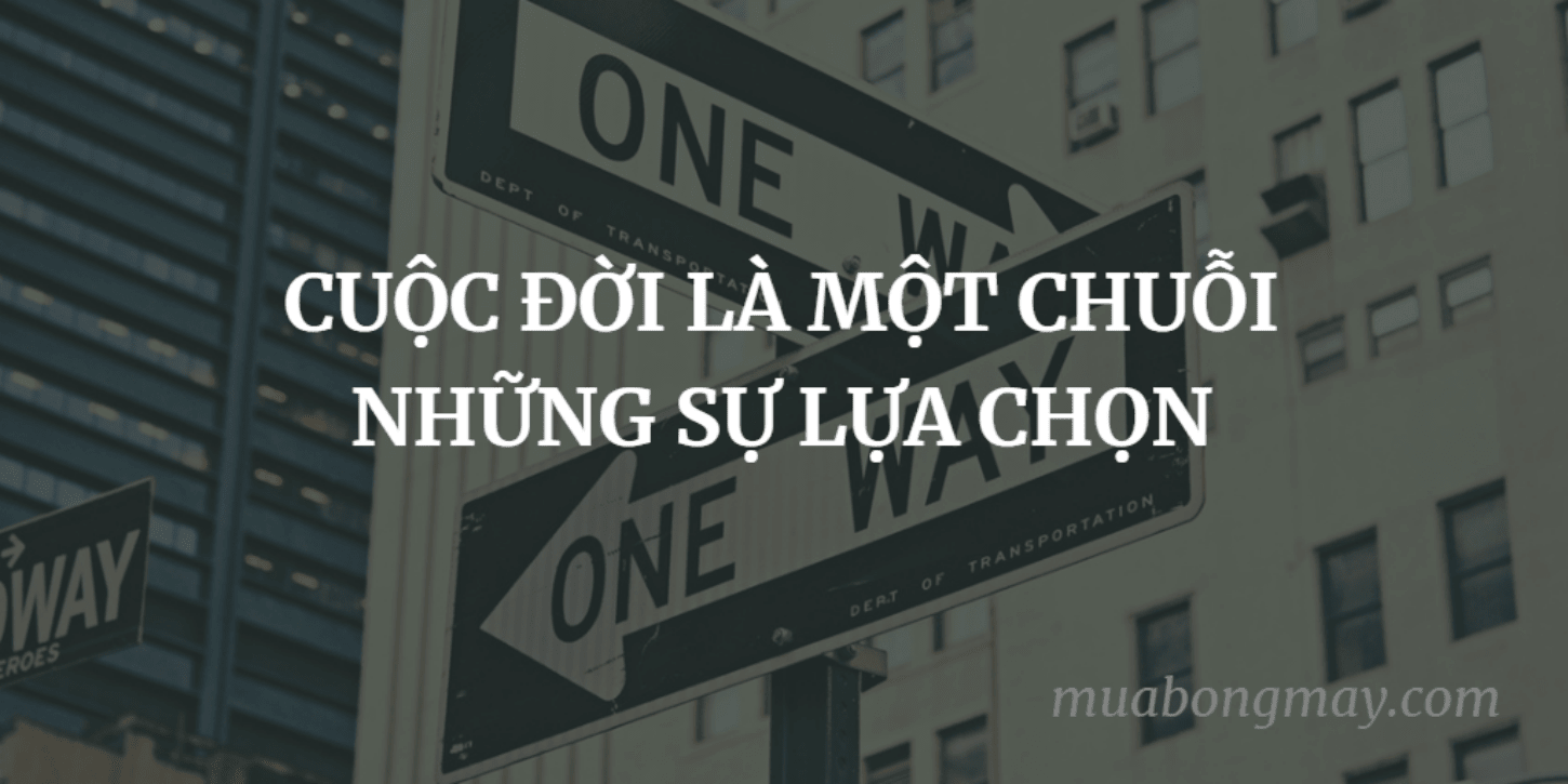 Cuộc đời là chuỗi những sự lựa chọn! (1/2)-Weibo24h.com